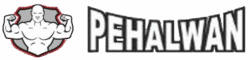 Pehalwan Logo